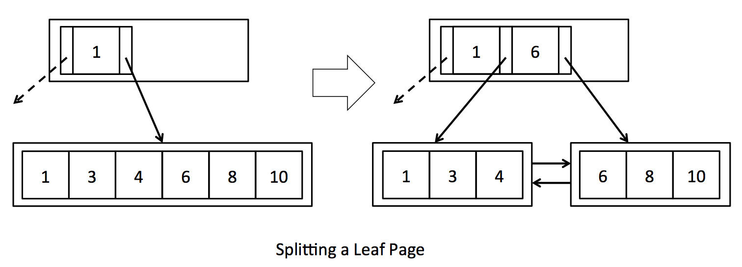 /MIT-6.830-lab5-SimpleDB-BTree-Index/splitting_leaf.png
